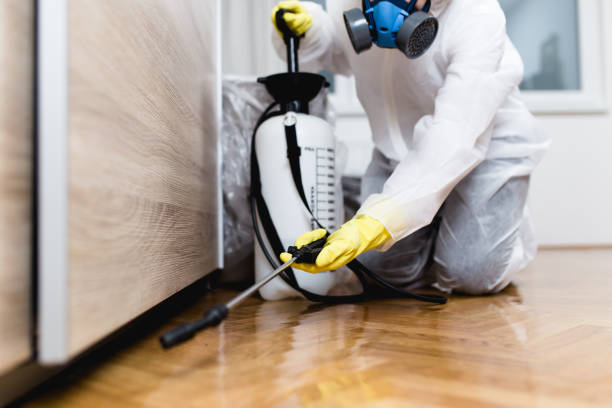 Best Flea Control Services  in Laurel Hollow, NY