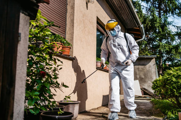 Best Cockroach Control Services  in Laurel Hollow, NY