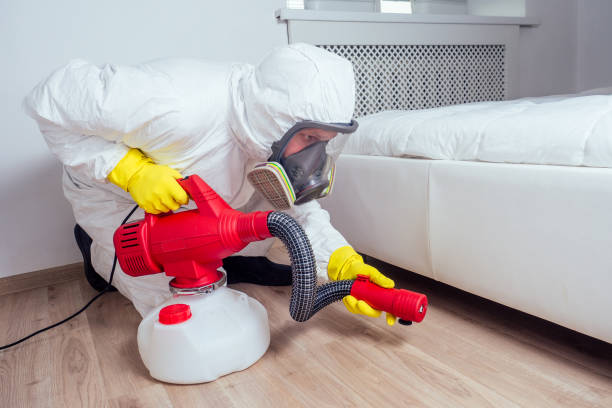 Best Local Pest Control Services  in Laurel Hollow, NY