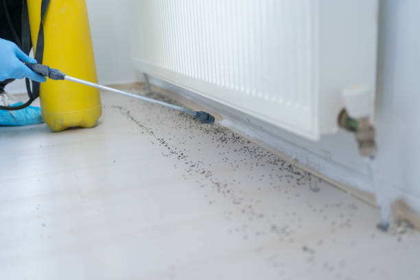 Best Residential Pest Control  in Laurel Hollow, NY
