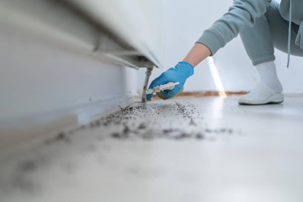 Best Exterminator Services  in Laurel Hollow, NY